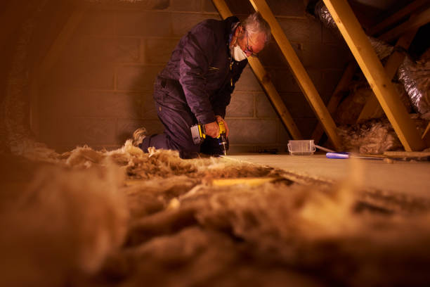 Best Energy-efficient Insulation  in Jamaica Beach, TX